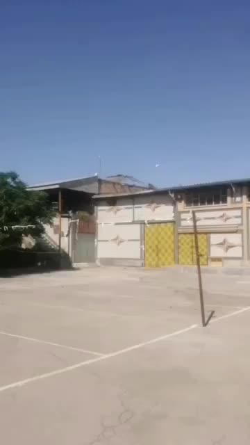 ۵۰میلیون مژدگانی|حیوانات|مشهد, فرهنگیان (شهرک غرب)|دیوار