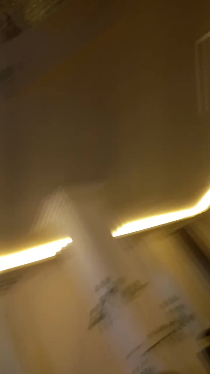 عروس هلندی نر سخنگو|پرنده|قدس, شهر‌قدس|دیوار