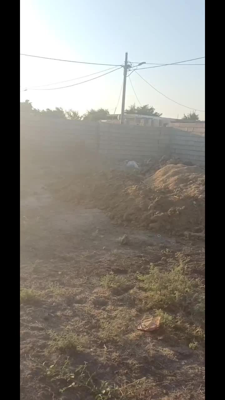 کره مادیان عرب۷ماه|اسب و تجهیزات اسب‌سواری|شوش, |دیوار