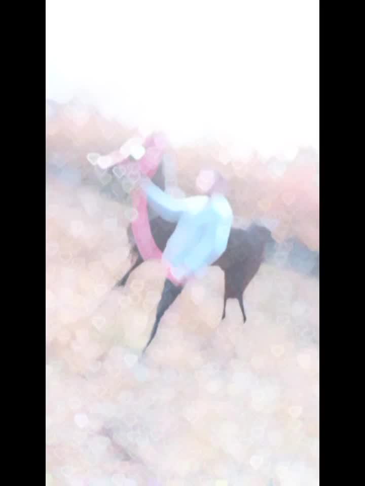 اسب عرب کورد دره شوری اسب عرب دوسر|اسب و تجهیزات اسب‌سواری|رودهن, |دیوار