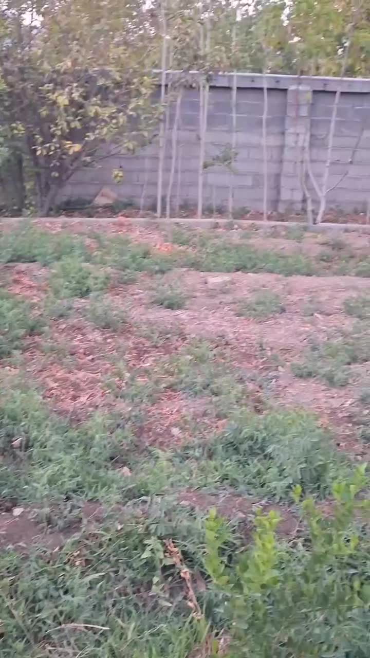 فروش باغ ویلایی به متراژ ۱۷۰۰ متر با تمامی امکانات|فروش خانه و ویلا|خفر, |دیوار