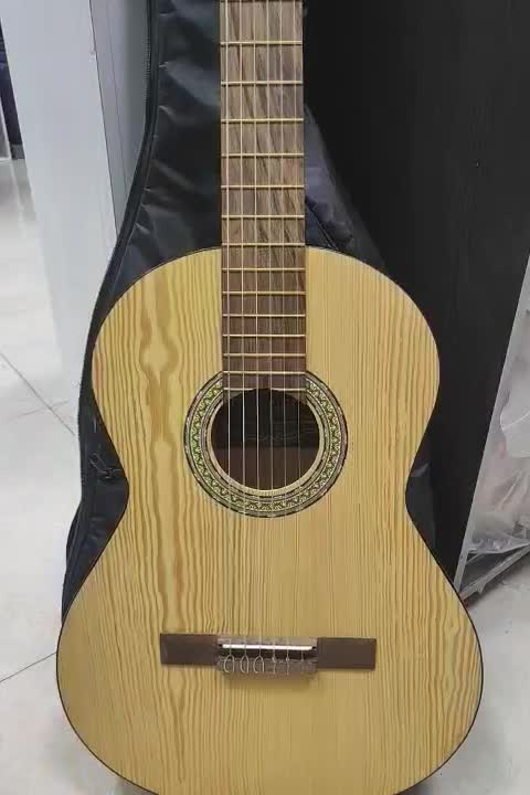 گیتار هونر مدل H20 کره|گیتار، بیس، امپلیفایر|فردیس, فردیس|دیوار