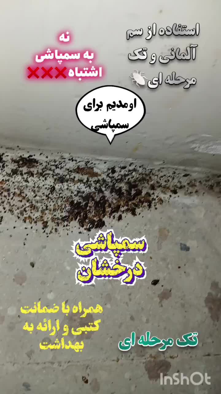 سمپاشی سم پاشی سوسک ساس تک مرحله بدون نیازبه شستشو|خدمات نظافت|تهران, نیروی هوایی (پیروزی)|دیوار