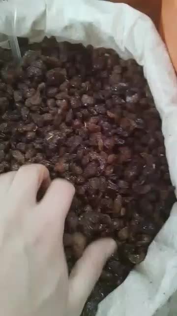 کشمش درجه یک آفتابی|خوردنی و آشامیدنی|فردیس, فردیس|دیوار