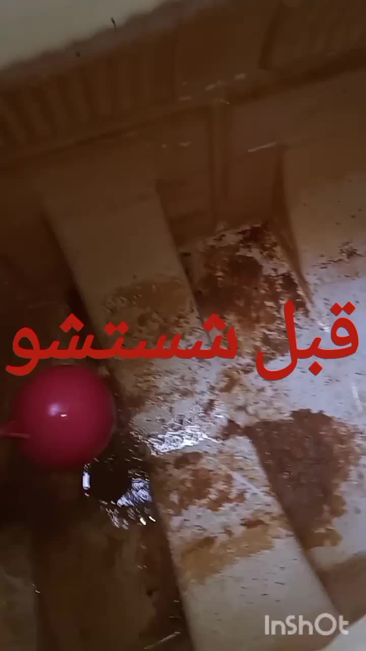 کلیه خدمات شبانه روزی لوله کشی آب،فاضلاب و...|خدمات پیشه و مهارت|آمل, |دیوار