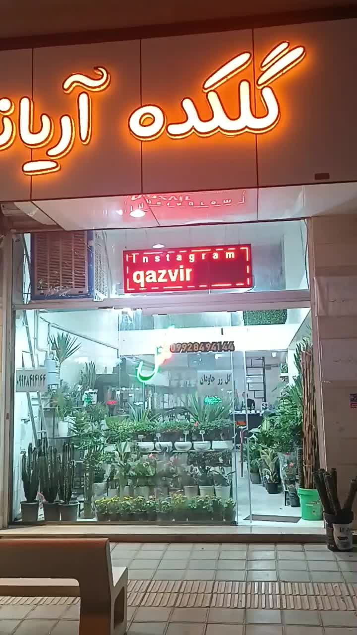 گل آپارتمانی گلدان کود خاک سم چهارپایه استند|گل و گیاه طبیعی|الوند, |دیوار