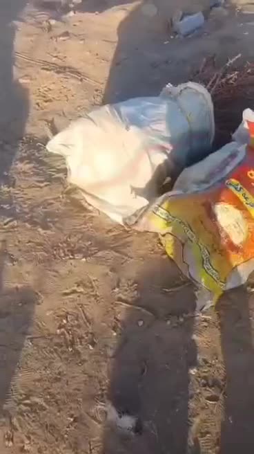 نهالستان زرشک سربیشه عناب سیوجان بیرجند|عمدهفروشی|مشهد, کوی پلیس|دیوار