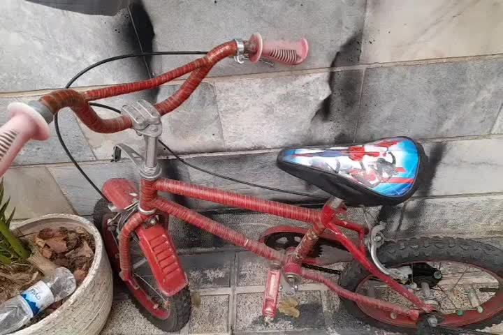 دوچرخه سایز۱۶|دوچرخه، اسکیت، اسکوتر|فشم, |دیوار