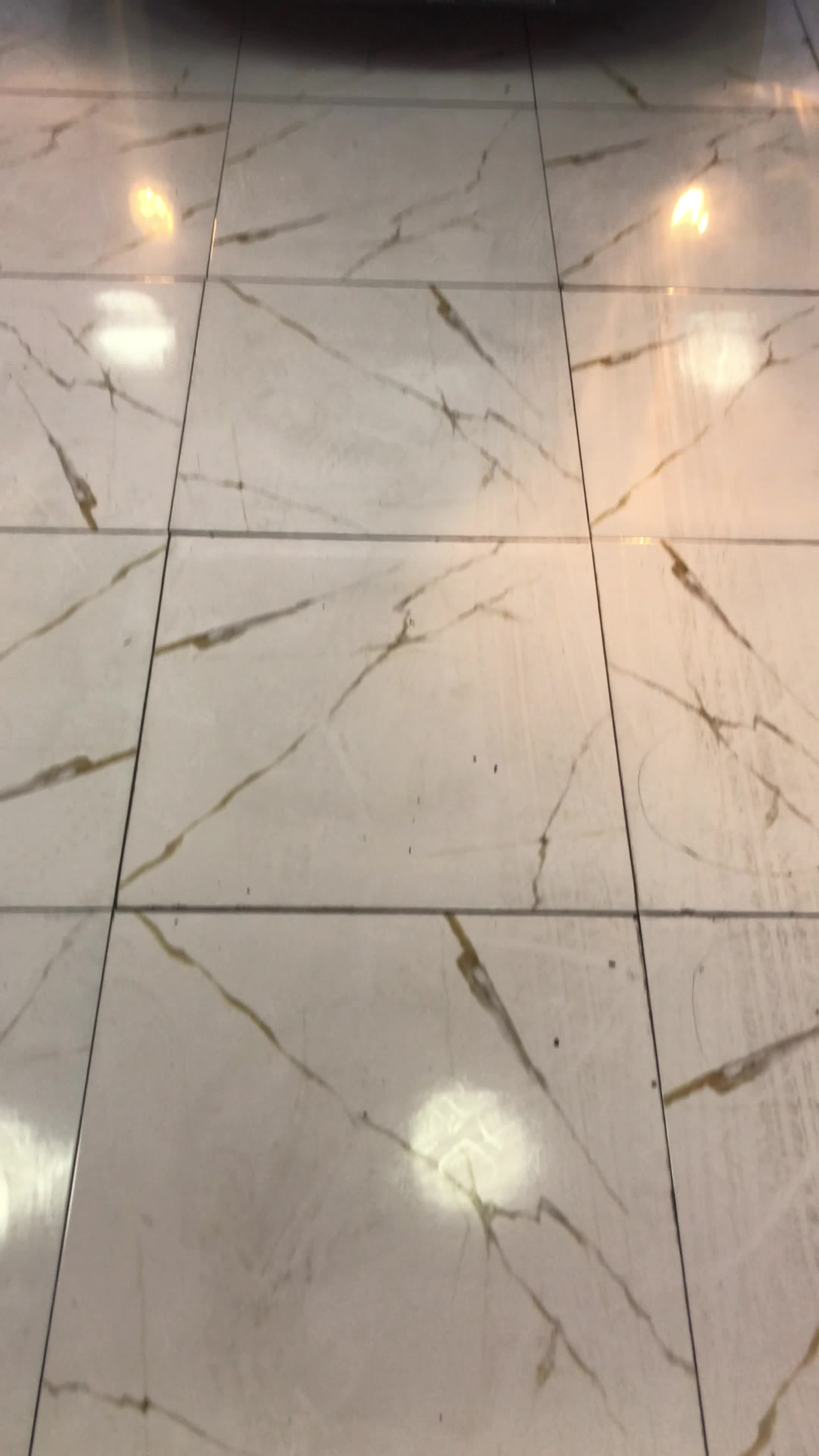 206‌‌‌‌|خودرو سواری و وانت|قم, بنیاد|دیوار