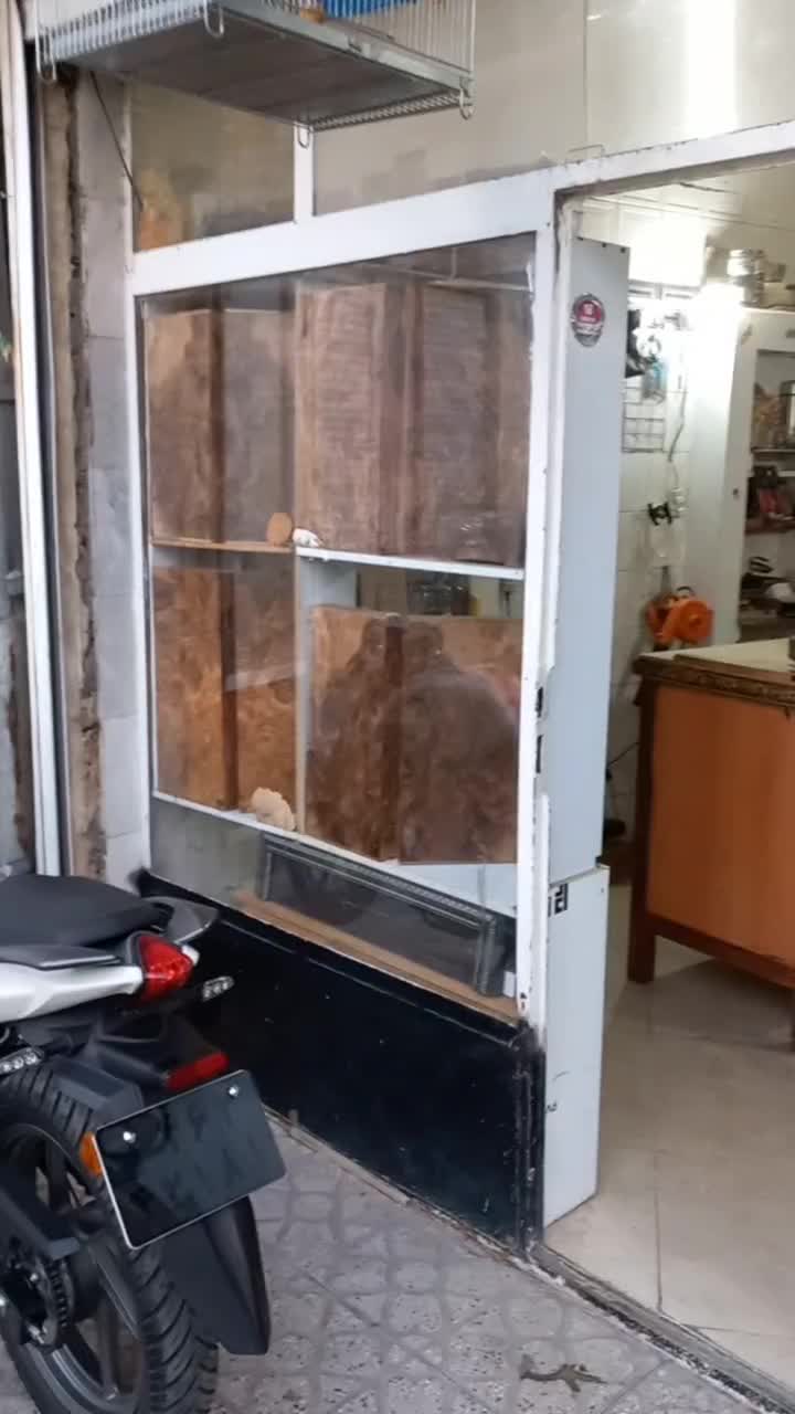 تخته نَرد ریشه گردو (جوش ۵۰۰ ساله گُلدار)|کلکسیون و سرگرمی|تهران, تهرانویلا|دیوار