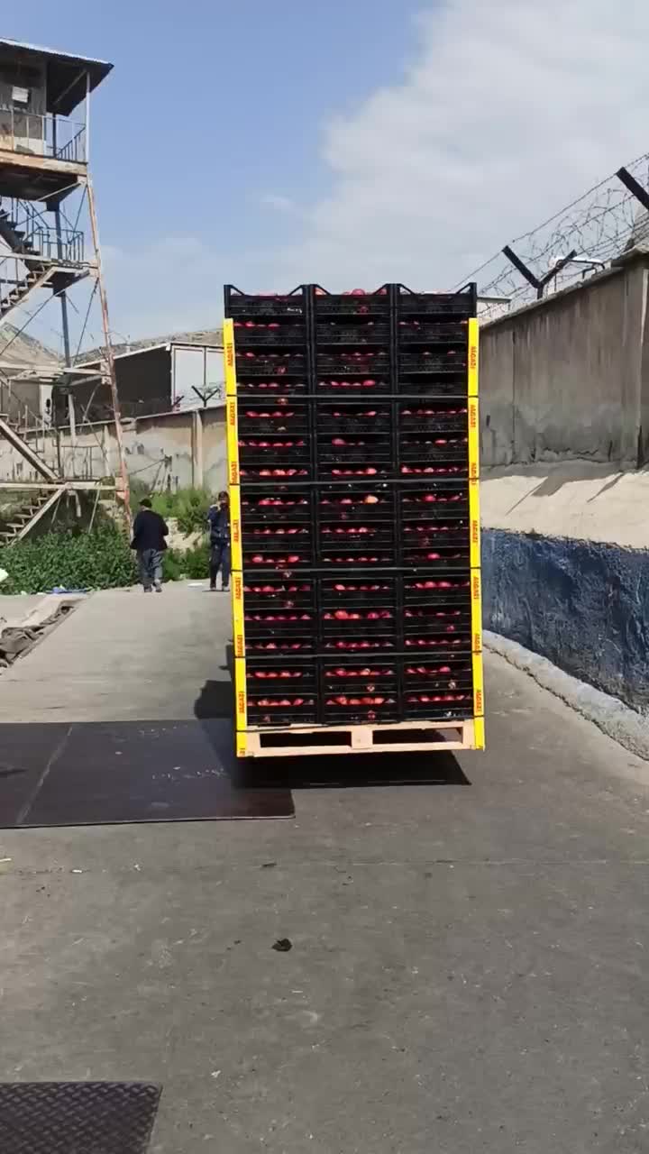 صادرات و واردات از گمرک های بازرگان ،جلفا و پلدشت|خدمات حمل و نقل|ماکو, |دیوار