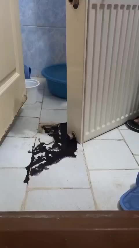 انجام کلیه خدمات فنی با نازل ترین قیمت|خدمات پیشه و مهارت|زنجان, |دیوار