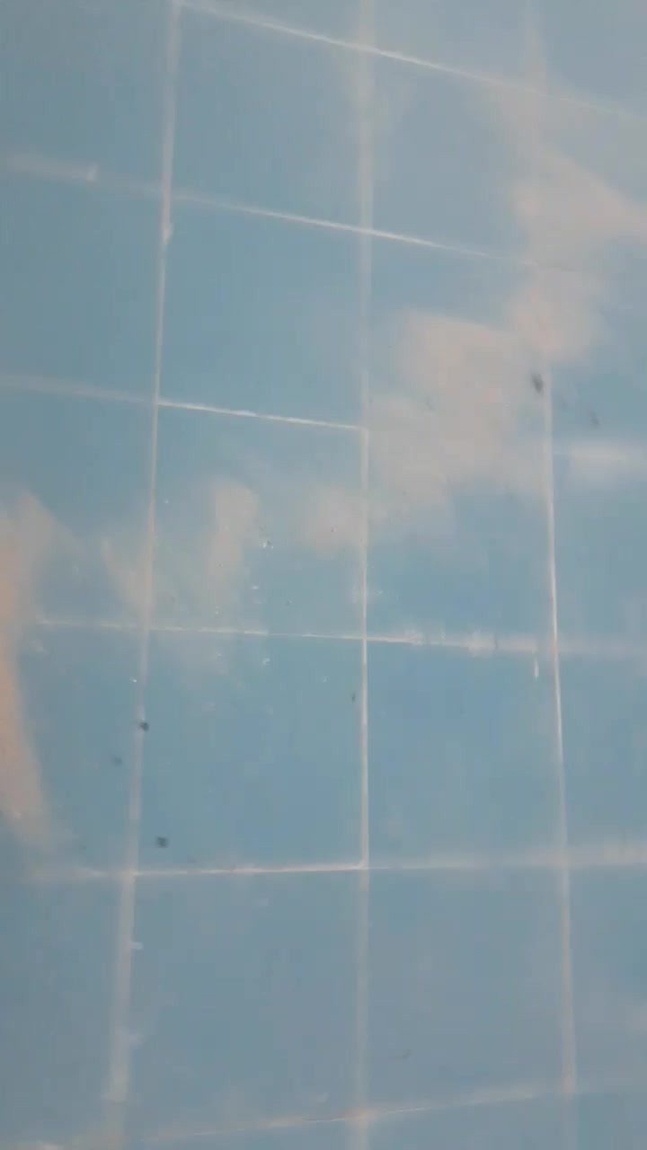 بندکشی وعایق بندی حمام ودستشویی با۲۵ سال سابقه|خدمات پیشه و مهارت|کرمانشاه, |دیوار