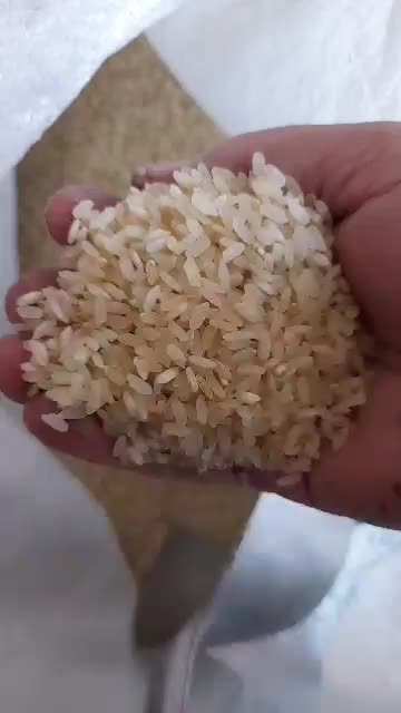 فروش برنج کامفیروزی|خوردنی و آشامیدنی|شیراز, شهرک ترکان|دیوار