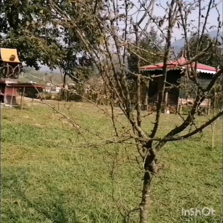 مجموع فایلهای اجاره با 118املاک آساهاب|اجارهٔ آپارتمان|لاهیجان, شهید آوینی|دیوار