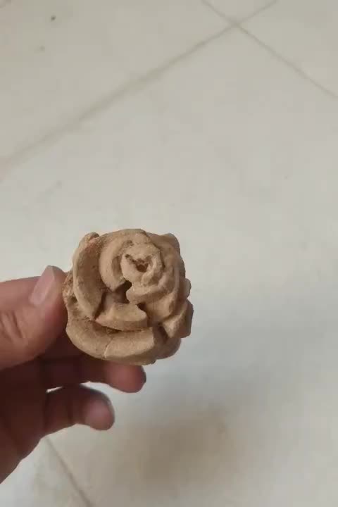 فسیل|کلکسیون اشیاء عتیقه|صدرا-فارس, فاز ۱|دیوار