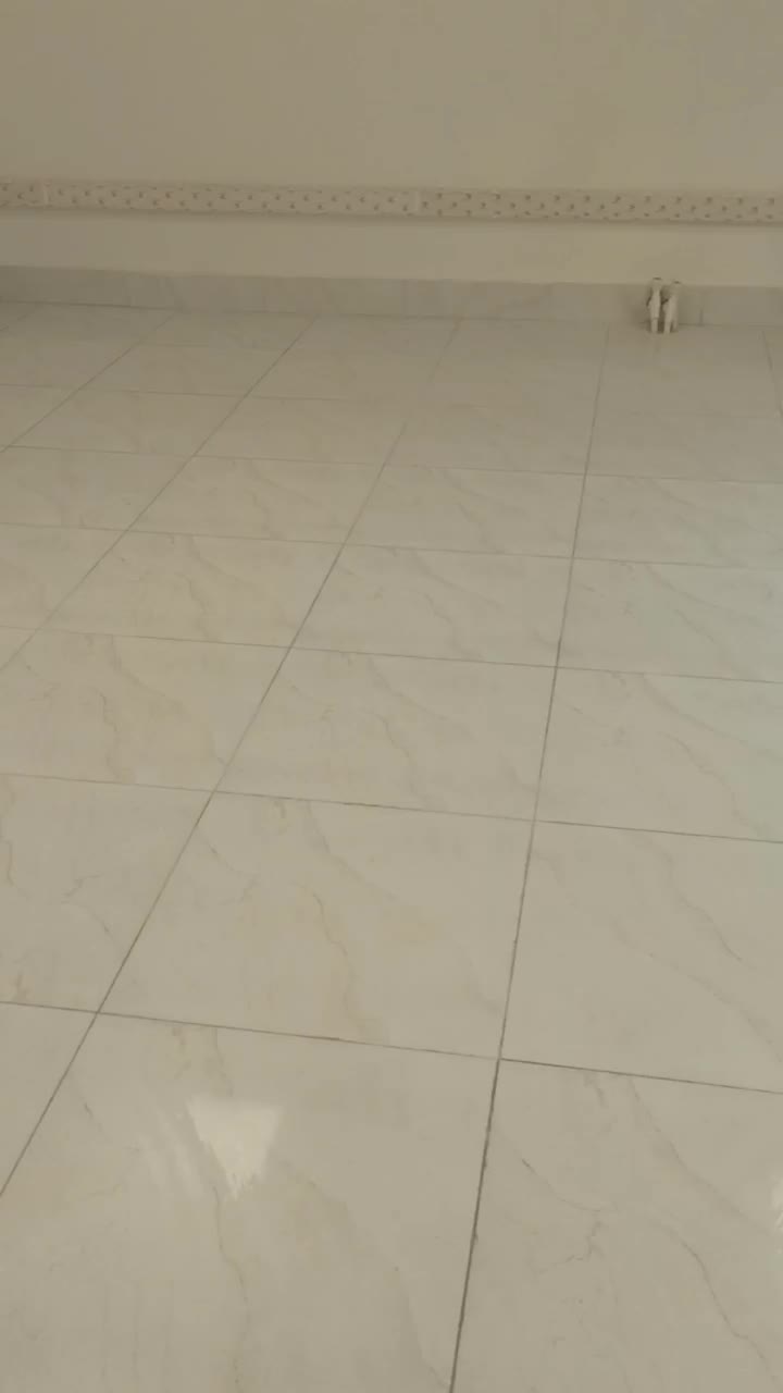 شرکت خدماتی نظافتی نوبهار با ده سال سابقه کار|خدمات نظافت|تهران, عباس‌آباد|دیوار