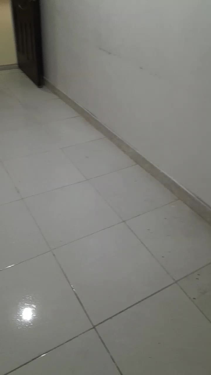 اجاره آپارتمان طبقه سوم|اجارهٔ آپارتمان|بهارستان, |دیوار