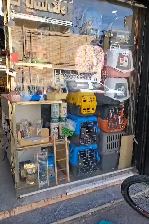 لوازم جانبی و مکمل پرندگان|لوازم جانبی حیوانات|شاهین‌شهر, فردوسی|دیوار