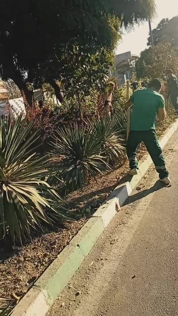 فصل بیل زنی فرم دهی گیاهان زینتی|خدمات باغبانی و درختکاری|کرج, گلشهر|دیوار