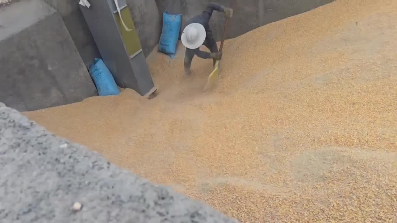 وسایل کارخانه خوراک دام اسیاب میکسرالواتورپلیت|ماشینآلات صنعتی|کرمانشاه, |دیوار