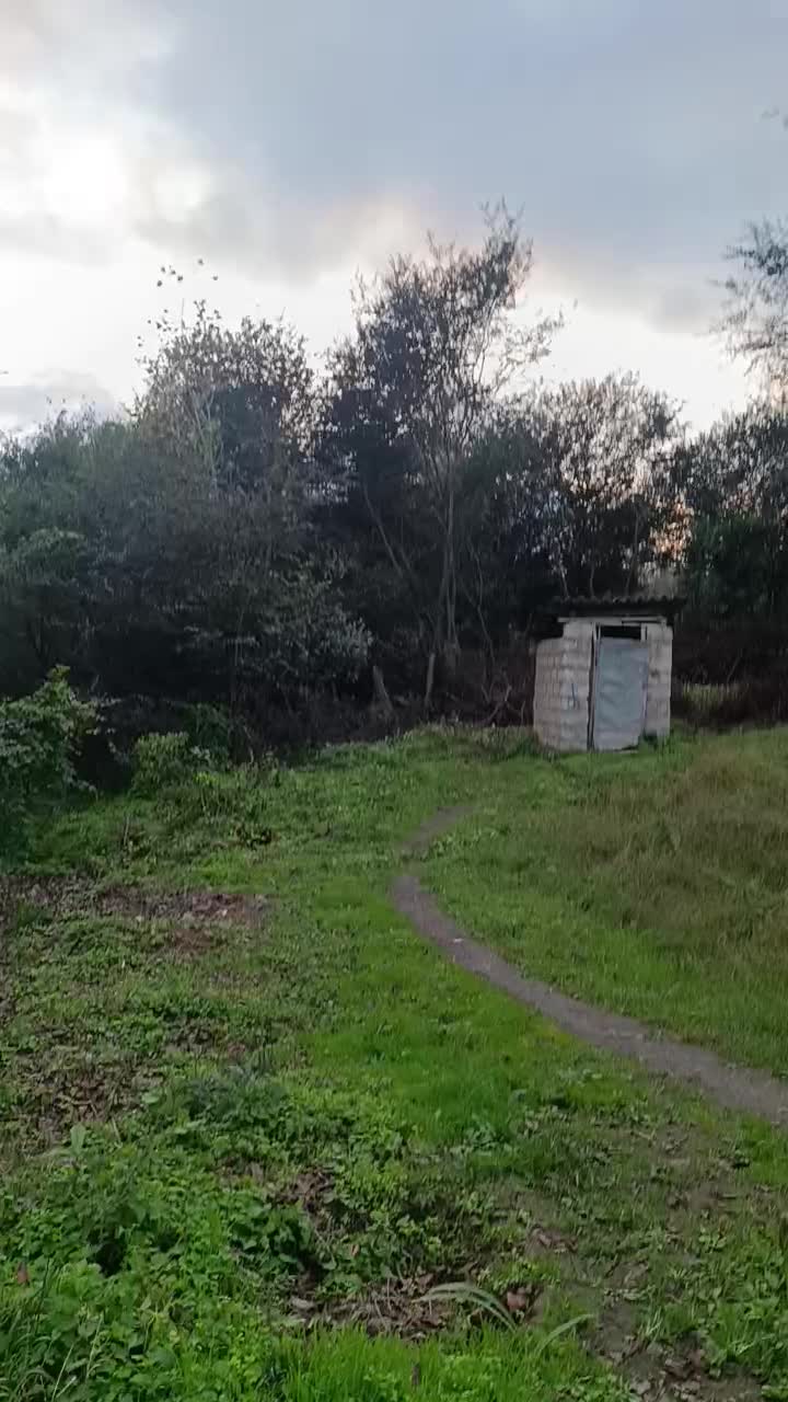 301 متر زمین املش|فروش زمین و ملک کلنگی|اطاقور, |دیوار