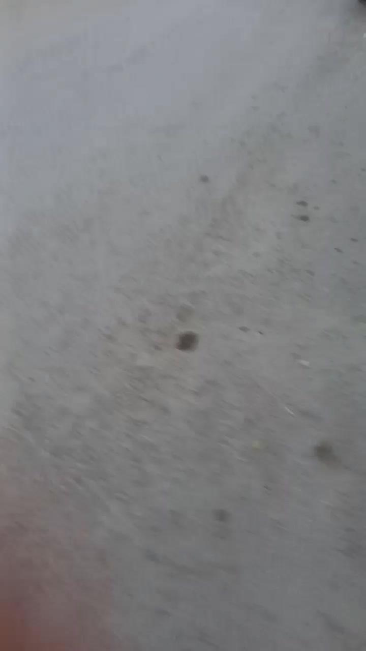 پراید دوگانه کارخانه|خودرو سواری و وانت|جوانرود, |دیوار