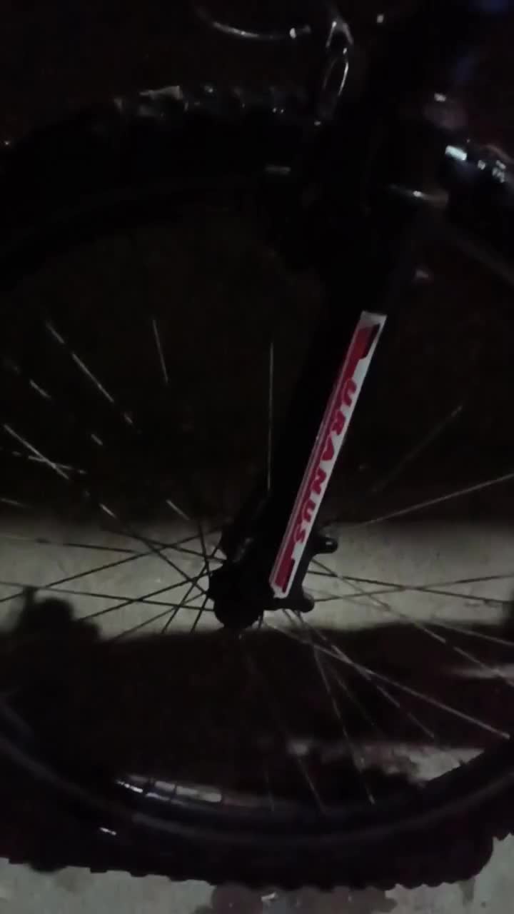 دوچـرخه ویوا|دوچرخه، اسکیت، اسکوتر|مشهد, شهید معقول|دیوار