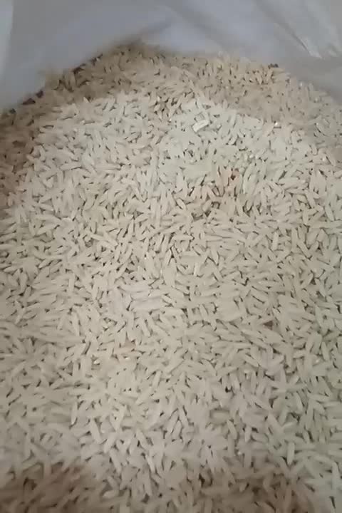 برنج اصیل دم سیاه کلات نادر کاملا ارگانیک|خوردنی و آشامیدنی|مشهد, حسابی جنوبی (شهرک غرب)|دیوار