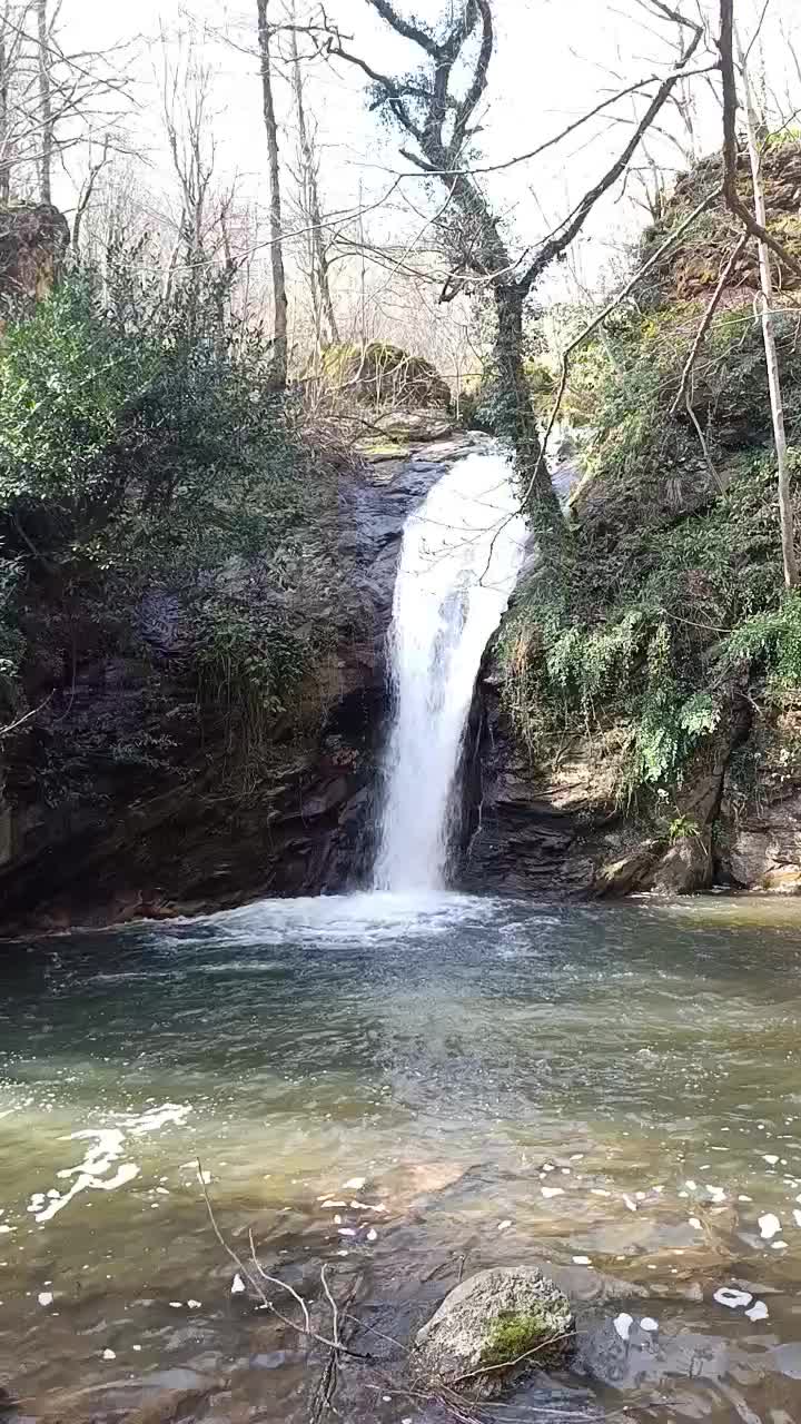 طبیعت گردی|گردهمایی و همایش|رشت, معلم|دیوار