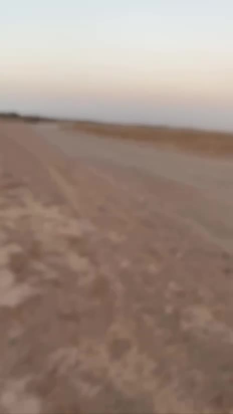 اسب مادیون|اسب و تجهیزات اسب‌سواری|مشهد, آبادگران|دیوار