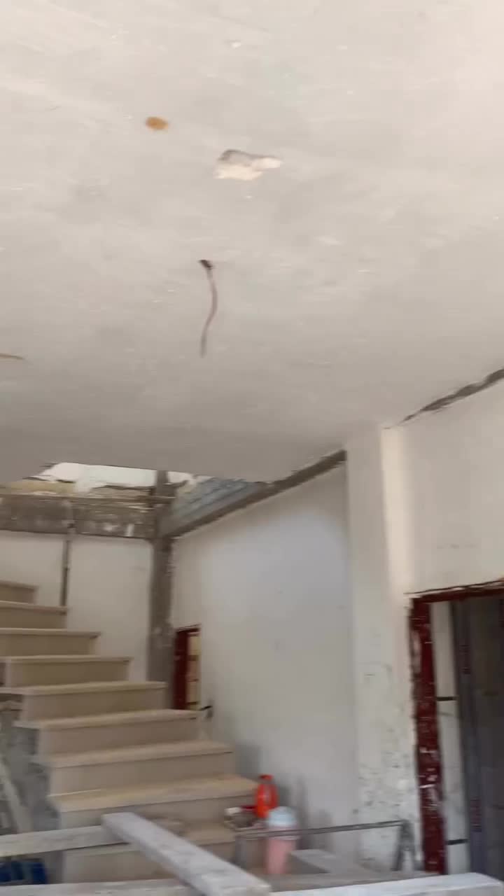 سقف دیوار و کف کاذب|خدمات پیشه و مهارت|چابهار, |دیوار