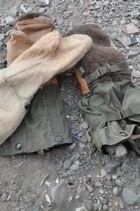 دستکش اسکیمویی|لباس|تربتحیدریه, چهارراه خواف|دیوار