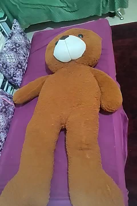 تدی بزرگ|اسباب‌بازی بچه|رباط‌کریم, رباط‌کریم|دیوار