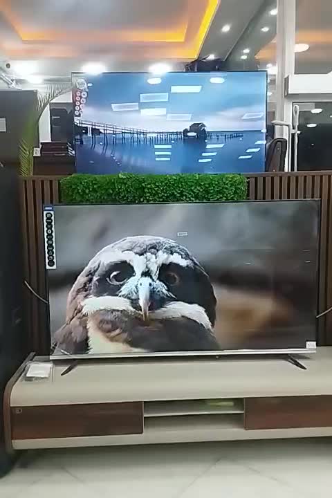 تلویزیون|تلویزیون و پروژکتور|ارومیه, |دیوار