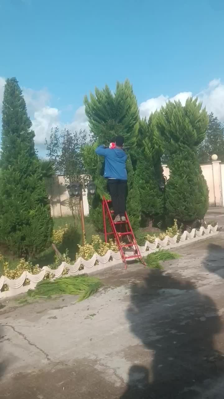 باغبانی هرس سمپاشی محوطه سازی|خدمات باغبانی و درختکاری|رشت, حومه رشت|دیوار