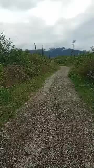 زمین بایر لاهیجان سیاهکل|فروش زمین و ملک کلنگی|سیاهکل, |دیوار