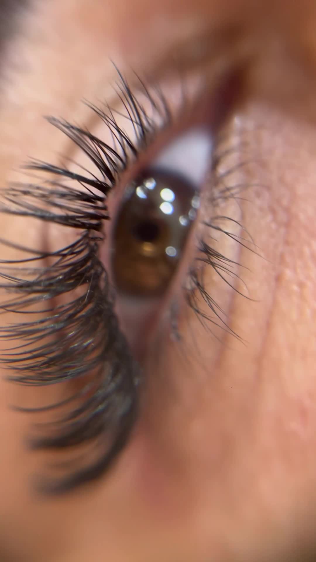 ترمیم و اکستنشن مژه|خدمات آرایشگری و زیبایی|فردیس, فردیس|دیوار