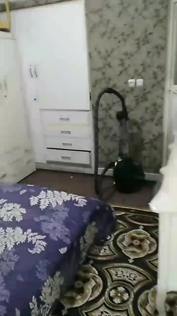 خونه|اجارهٔ خانه و ویلا|قم, چهل درخت‎|دیوار