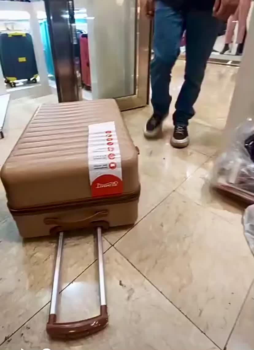 طرح نیوشا اکونومی کاملا اقتصادی سفرخارجی کیف چمدان|کیف، کفش، کمربند|اصفهان, جویباره|دیوار