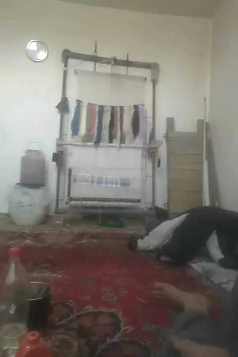 یکدستگاه فرش|فرش|مراغه, |دیوار