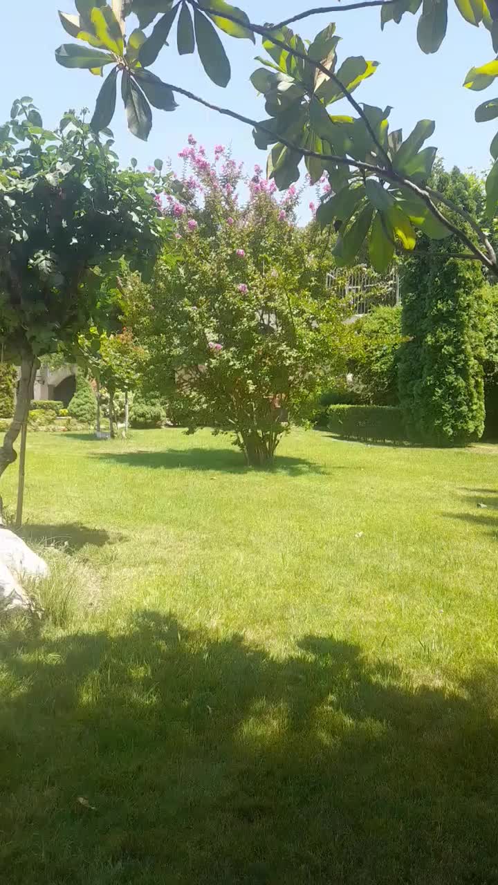 خدمات فنی و نظافت سید|خدمات نظافت|لواسان, |دیوار