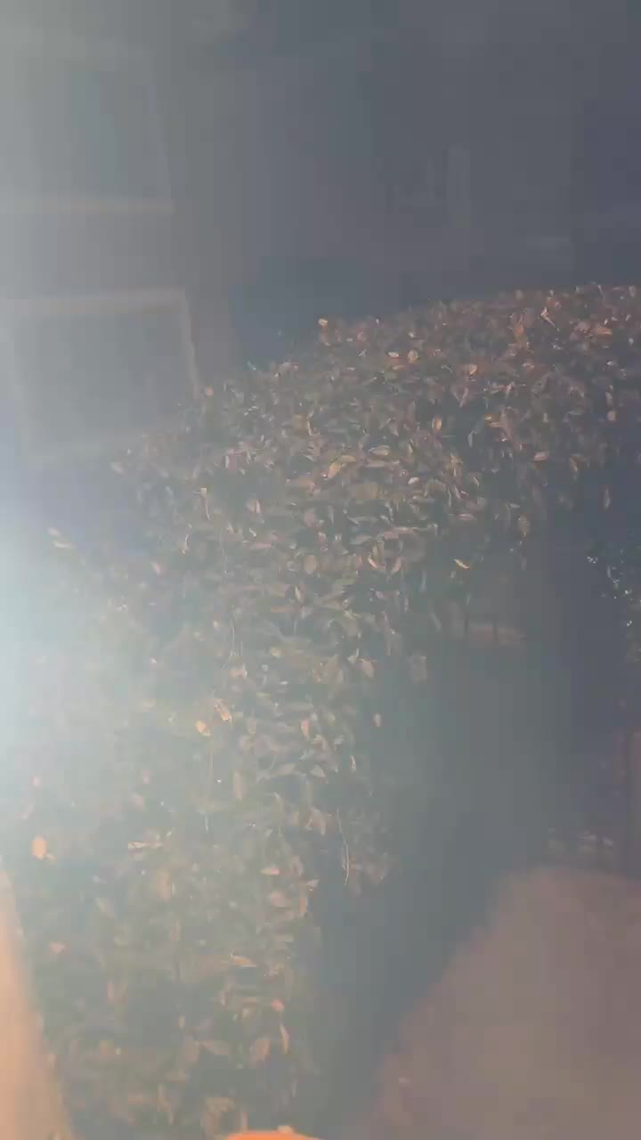 رفع مشکل  اجرا پشتیبانی در کمترین زمان|دوربین مداربسته|تهران, محمودیه|دیوار