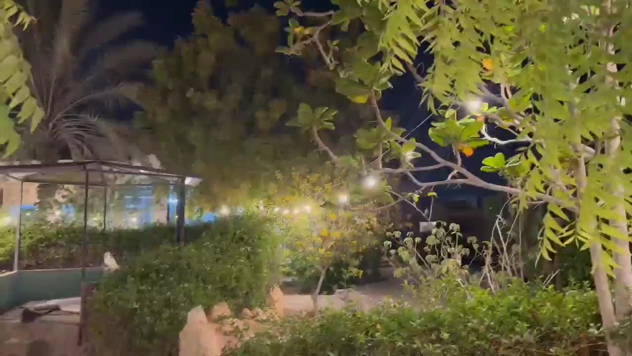 ریسه (ریسه نور)|ریسه و چراغ تزئینی|کیش, |دیوار