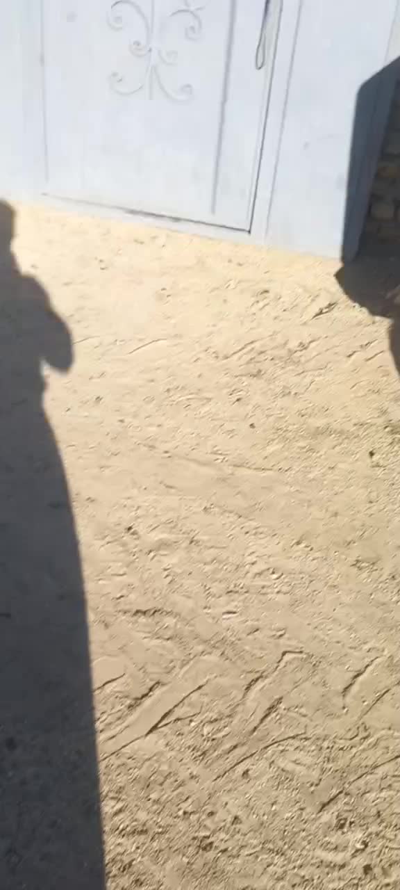 تراکتور۶۸عتیقه|خودرو سنگین|سامن, |دیوار