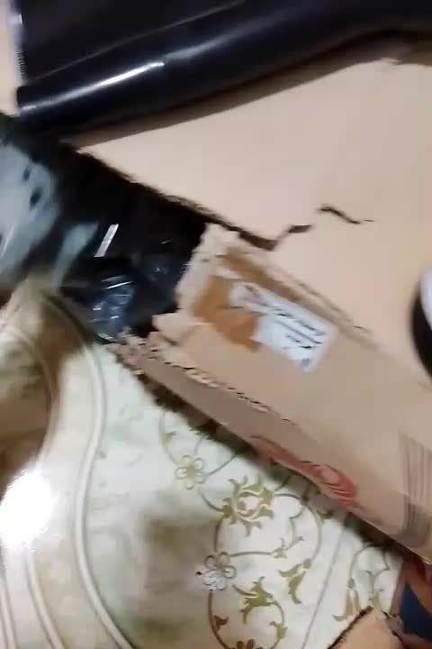 حراج واقعی دمپایی زیر قیمت کارخانه|کیف، کفش، کمربند|کامیاران, |دیوار