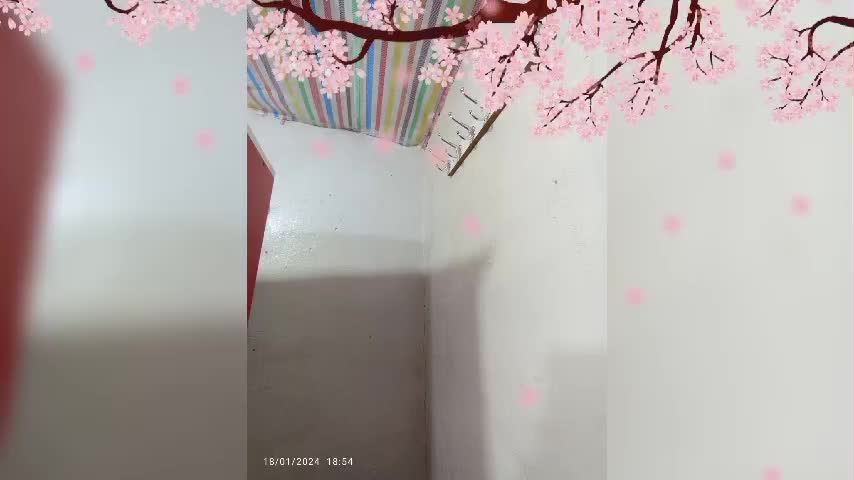 نقاشی ساختمان و رنگ آمیزی درب پنجره و....|خدمات پیشه و مهارت|فلارد, |دیوار