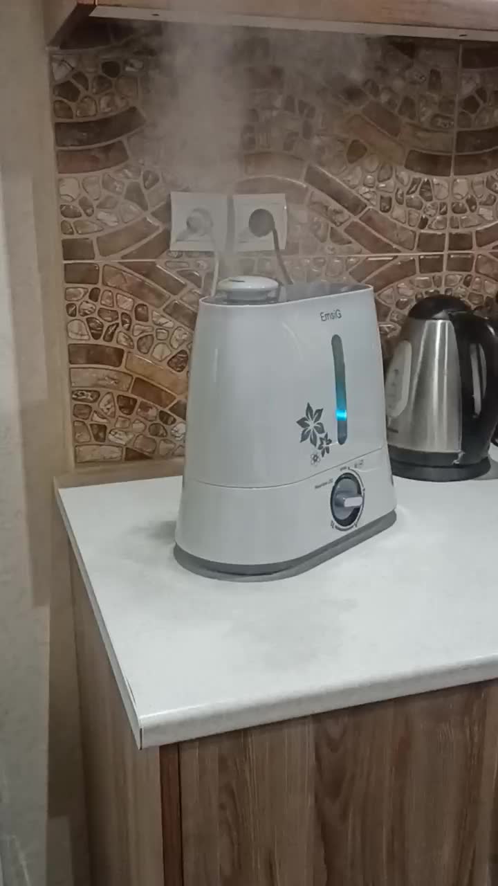 دستگاه بخور سرد EmsiG - US456|پنکه و تصفیهکنندهٔ هوا|تهران, بهداشت|دیوار