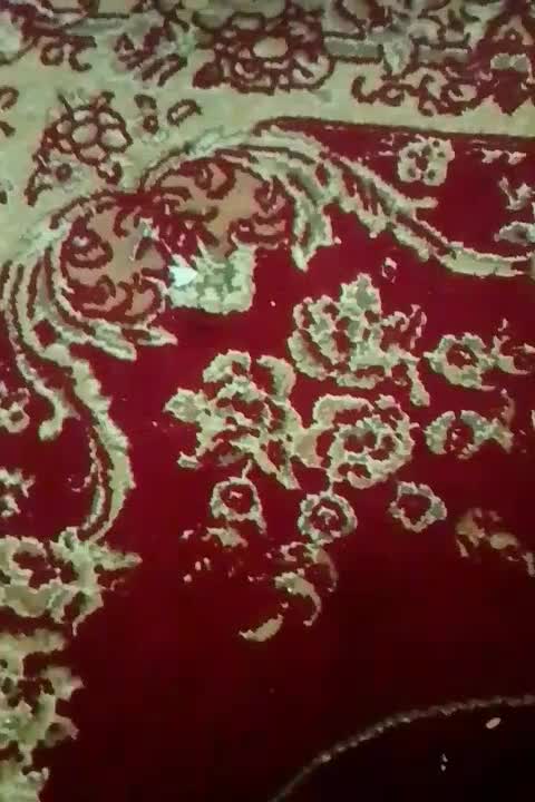 کیمدی|کلکسیون و سرگرمی|رامهرمز, |دیوار