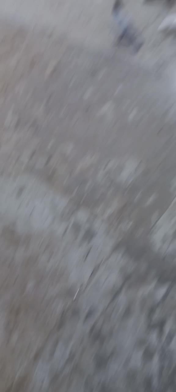 طوقی آبادانی صرب سرک سرور دورگ|پرنده|نجفآباد, یزدانشهر|دیوار